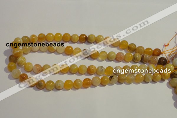 CAA88 15.5 inches 8mm round botswana agate gemstone beads