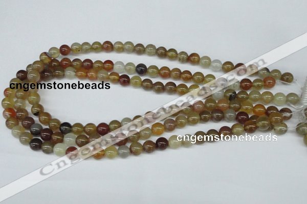 CAA891 15.5 inches 8mm round agate gemstone beads wholesale