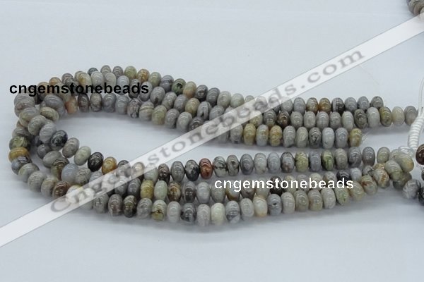 CAB142 15.5 inches 6*10mm rondelle bamboo leaf agate beads