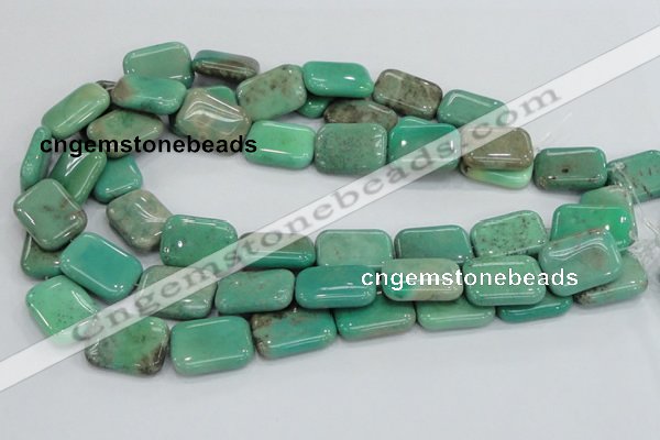 CAB29 15.5 inches 18*25mm rectangle green grass agate gemstone beads
