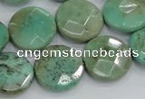 CAB34 15.5 inches 18mm faceted coin green grass agate gemstone beads