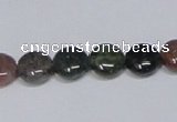 CAB449 15.5 inches 10mm flat round indian agate gemstone beads