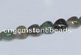 CAB452 15.5 inches 8*8mm heart indian agate gemstone beads