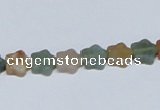 CAB458 15.5 inches 8*8mm star indian agate gemstone beads wholesale