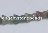 CAB463 15.5 inches 9*12mm vase-shaped indian agate gemstone beads