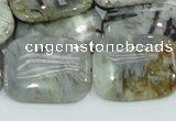 CAB88 15.5 inches 22*30mm rectangle silver needle agate gemstone beads