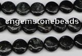 CAE44 15.5 inches 10mm flat round astrophyllite beads wholesale