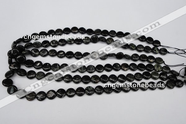 CAE44 15.5 inches 10mm flat round astrophyllite beads wholesale