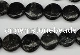 CAE45 15.5 inches 12mm flat round astrophyllite beads wholesale