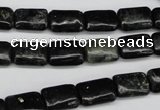 CAE88 15.5 inches 8*12mm rectangle astrophyllite beads wholesale