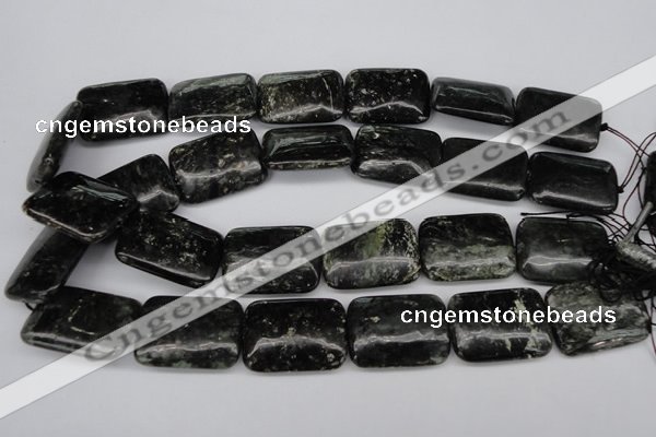 CAE95 15.5 inches 22*30mm rectangle astrophyllite beads wholesale