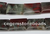 CAF01 15.5 inches 13*18mm rectangle African bloodstone beads