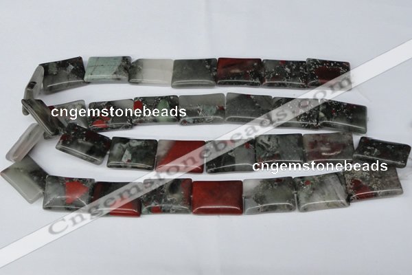 CAF02 15.5 inches 18*25mm rectangle African bloodstone beads