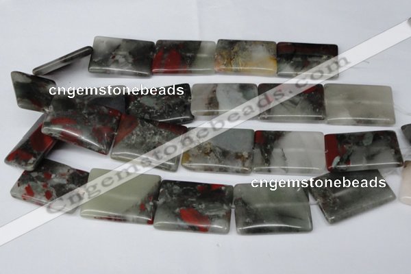 CAF03 15.5 inches 25*35mm rectangle African bloodstone beads