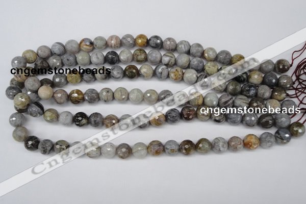 CAG1423 15.5 inches 10mm faceted round silver needle agate beads