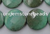 CAG1615 15.5 inches 25mm faceted coin green grass agate beads