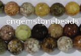 CAG1713 15.5 inches 10mm faceted round rainbow agate beads