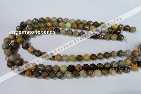 CAG1713 15.5 inches 10mm faceted round rainbow agate beads