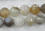 CAG1814 15.5 inches 12mm faceted round Chinese botswana agate beads