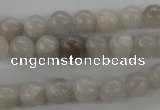 CAG1896 15.5 inches 8mm round grey agate beads wholesale