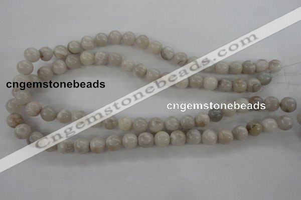 CAG1897 15.5 inches 10mm round grey agate beads wholesale