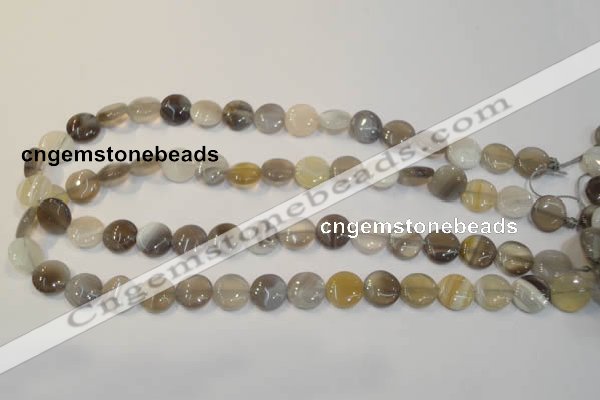 CAG2435 15.5 inches 12mm flat round Chinese botswana agate beads