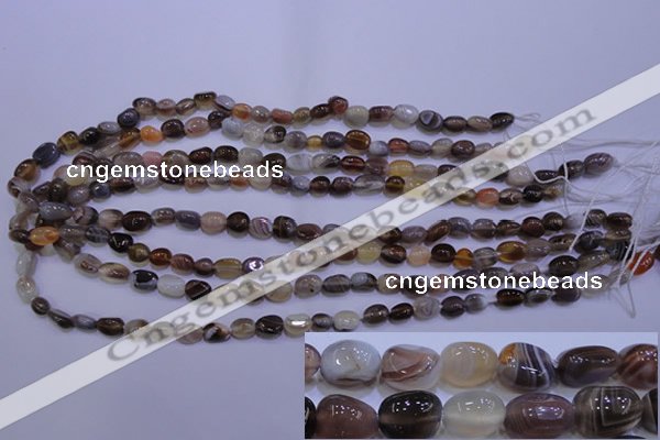 CAG2770 15.5 inches 6*8mm nuggets botswana agate beads wholesale