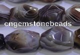 CAG2775 15.5 inches 14*20mm faceted nuggets botswana agate beads wholesale