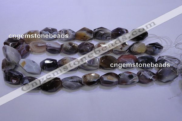 CAG2775 15.5 inches 14*20mm faceted nuggets botswana agate beads wholesale