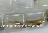 CAG3345 15.5 inches 18*25mm rectangle natural grey agate beads