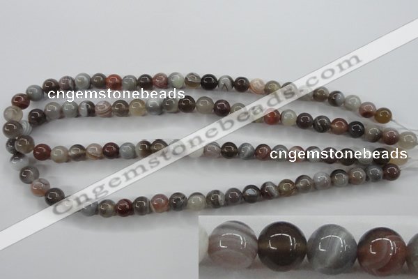 CAG3682 15.5 inches 8mm round botswana agate beads wholesale