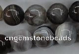 CAG3686 15.5 inches 16mm round botswana agate beads wholesale