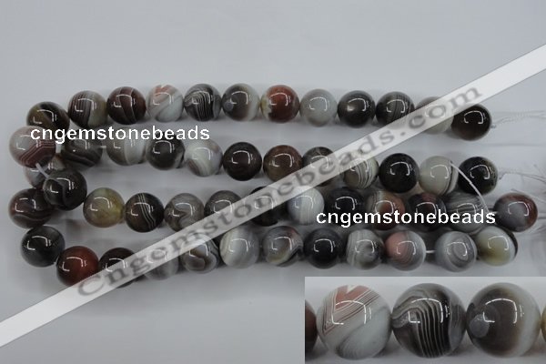 CAG3686 15.5 inches 16mm round botswana agate beads wholesale