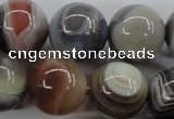 CAG3688 15.5 inches 20mm round botswana agate beads wholesale