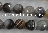 CAG3694 15.5 inches 12mm faceted round botswana agate beads wholesale