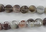 CAG3712 15.5 inches 10mm flat round botswana agate beads wholesale