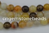 CAG4322 15.5 inches 8mm round botswana agate gemstone beads