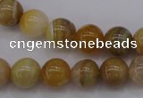 CAG4323 15.5 inches 10mm round botswana agate gemstone beads