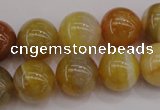 CAG4325 15.5 inches 14mm round botswana agate gemstone beads