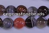 CAG4442 15.5 inches 12mm flat round botswana agate beads wholesale