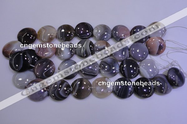 CAG4448 15.5 inches 25mm flat round botswana agate beads wholesale