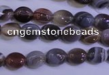 CAG4450 15.5 inches 8*10mm oval botswana agate beads wholesale