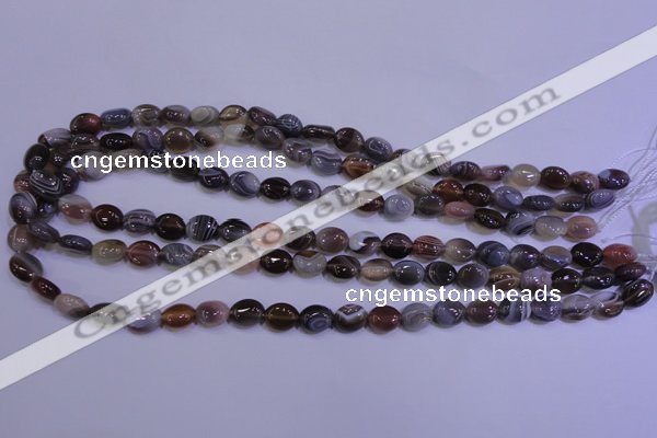 CAG4450 15.5 inches 8*10mm oval botswana agate beads wholesale