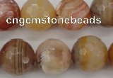 CAG4475 15.5 inches 14mm faceted round pink botswana agate beads