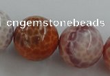 CAG5567 15.5 inches 18mm round natural fire agate beads wholesale