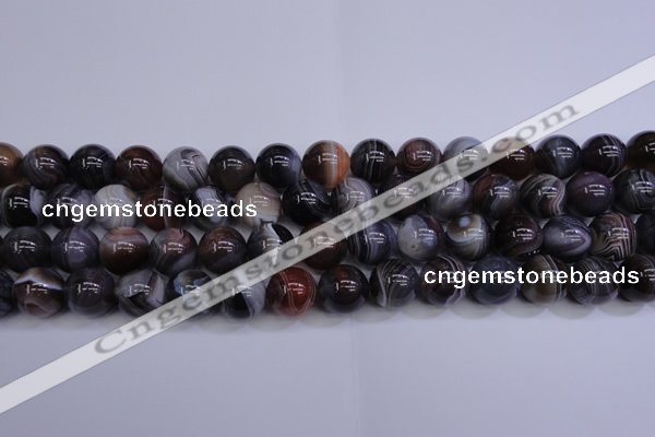 CAG5956 15.5 inches 16mm round botswana agate beads wholesale