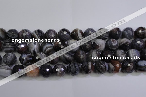 CAG5966 15.5 inches 18mm faceted round botswana agate beads wholesale