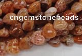 CAG627 15.5 inches 8*8mm heart natural fire agate beads wholesale