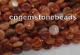 CAG629 15.5 inches 8mm coin natural fire agate beads wholesale