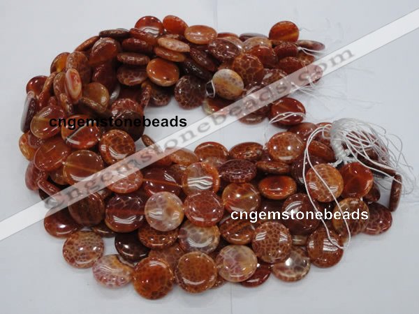 CAG631 15.5 inches 14mm coin natural fire agate beads wholesale